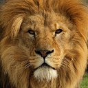  Oleg, , 57  -  21  2020    