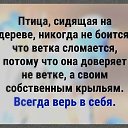���� Orhidea, ������ - ��������� 5 �������� 2020 � ������ ������ ��������