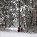 ���� �����, �����, 64 ���� - ��������� 6 ������� 2020 � ������ �������