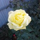 ���� Denis, �������� - ��������� 6 ������ 2020 � ������ ������ - ���� ))�