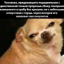 ���� �����, �����, 45 ��� - ��������� 14 �������� 2020 � ������ ������ ��������