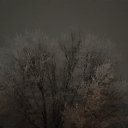  Beksultan,  -  11  2020    