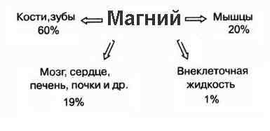 Ионы магния катион