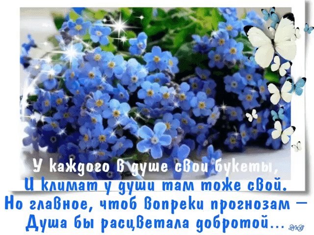   ,    . - 5  2020  14:31 - 4