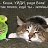 ���� ������, �������, 60 ��� - ��������� 2 ����� 2021