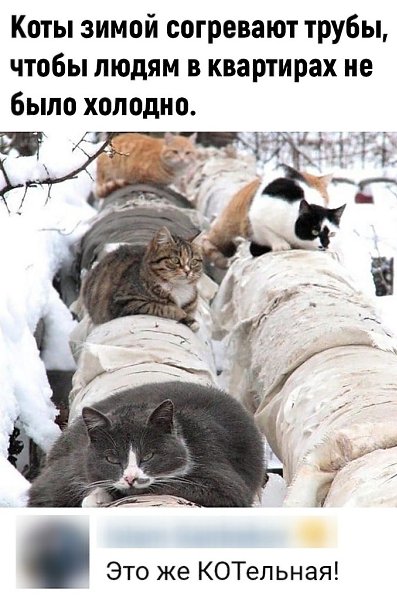�c�po�c��o KOTe���o�.Bce o �ay�e � �ex�o�o���x