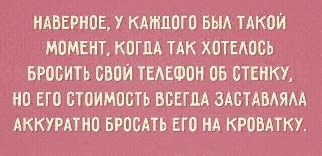 ☆ ☆ - 8  2021  03:44