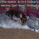 ���� ���� �����������, ������������, 58 ��� - ��������� 24 ������� 2020 � ������ ���������