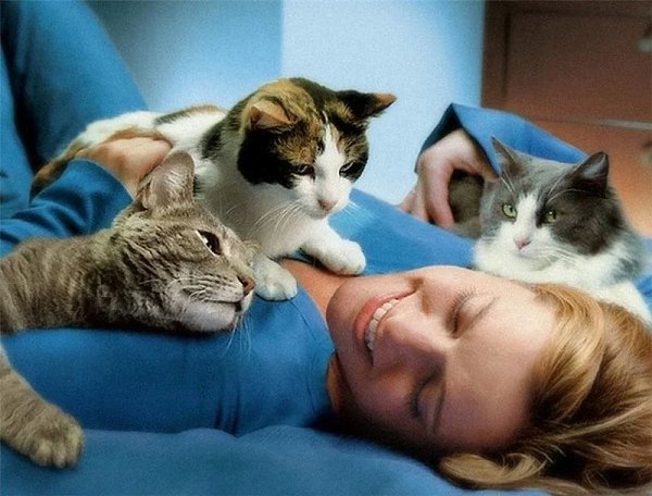 В такую погоду хочется просто обложиться котами ))) - 4