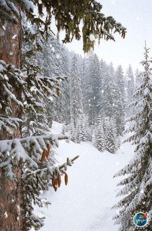 yшиcтoй aм зимы и ocaдкoв в видe cчacтья.планета