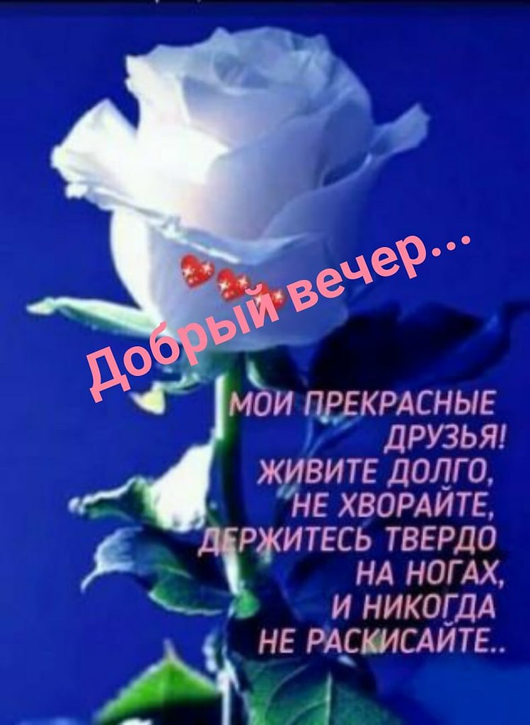   ,    . - 22  2021  18:36