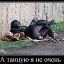 ���� �����, ������ - ��������� 14 ������� 2020 � ������ ��� ���������� � ����� ��������