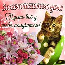 ���� Alena, ������ - ��������� 8 ������� 2020 � ������ ������ ��������