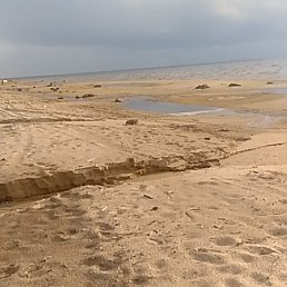 ������, �������, 45 ���