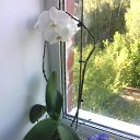 ���� �����, ��������, 54 ���� - ��������� 1 ������� 2021 � ������ ���� ����������