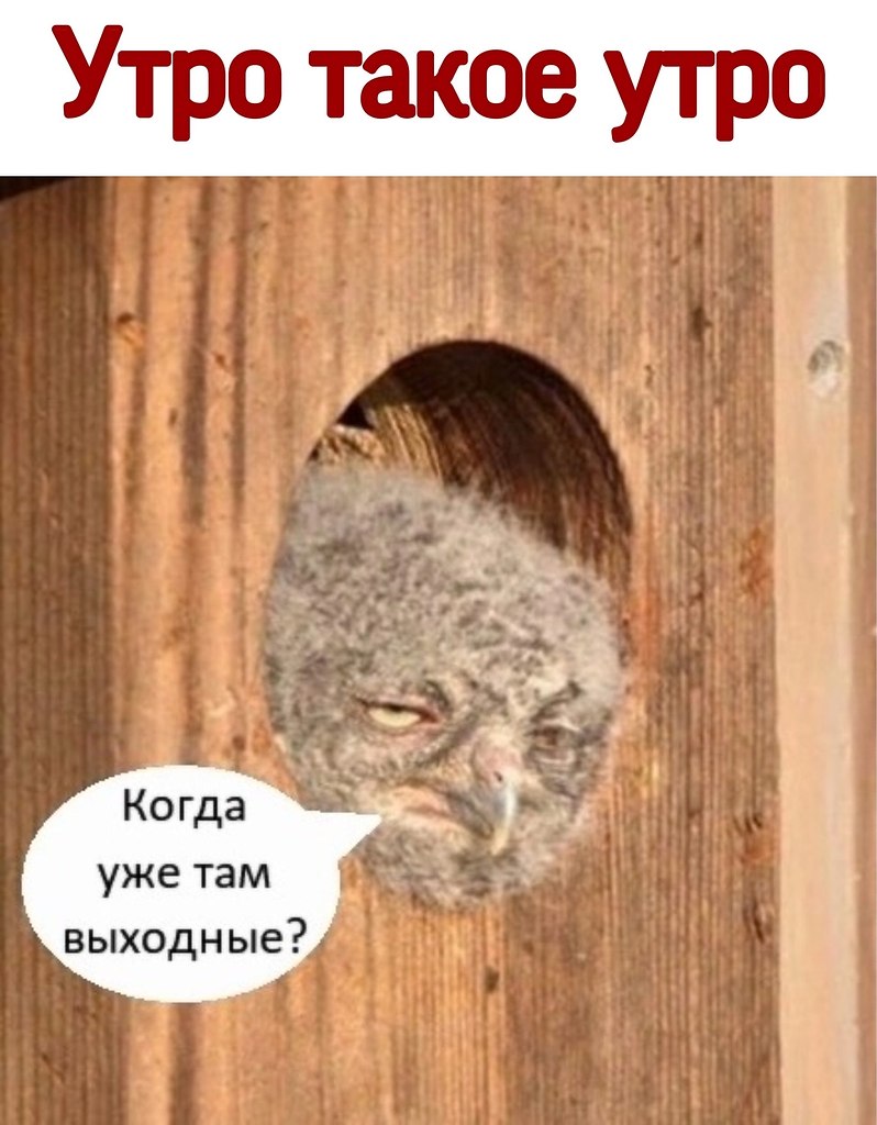 ������ - 15 ������ 2021 � 05:17