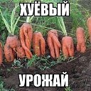 ���� ���� �����������, ������������, 58 ��� - ��������� 24 ������� 2020 � ������ ���������