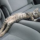 ������ ������� �� ������� ���� ����������