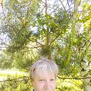 2020 ���,����. �� ������� ���� ����������