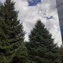 Фото Людмила, Абакан, 63 года - добавлено 9 января 2021