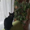 ������ �������� �� ��������� ������ � ����� ������� ������ �����, ��������, ���� � ��� ���!.. �� ��-���� ������ ��� ���������� ����� ��� ����������� �������� � �������. �� ������� �������� ���� �� ������!!!�