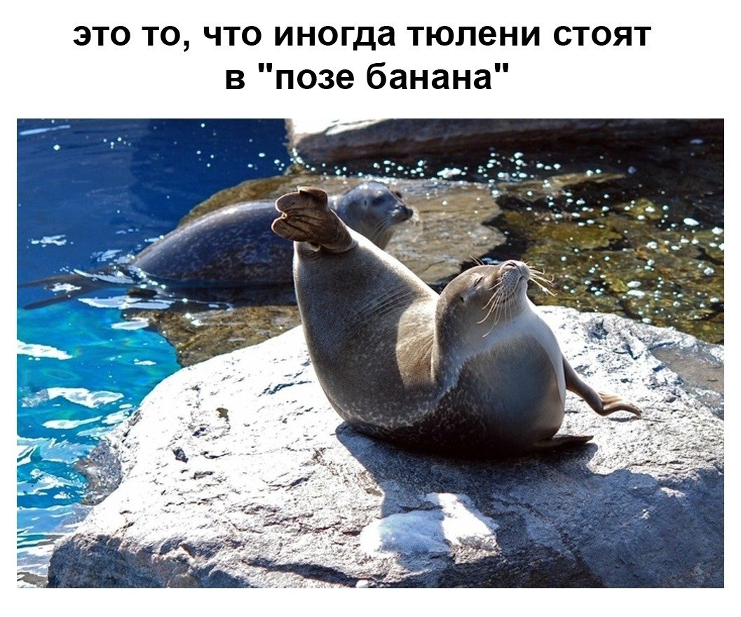  ,        - 2