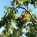  , , 46  -  9  2020     2019