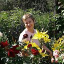 ���� ������, ���������, 56 ��� - ��������� 9 ������� 2020 � ������ ���� ����������