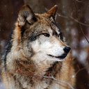 ���� ����, �������� - ��������� 23 ����� 2021 � ������ ���� ����������