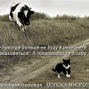 ���� Sveta, ������� - ��������� 19 ������� 2021 � ������ ������ ��������
