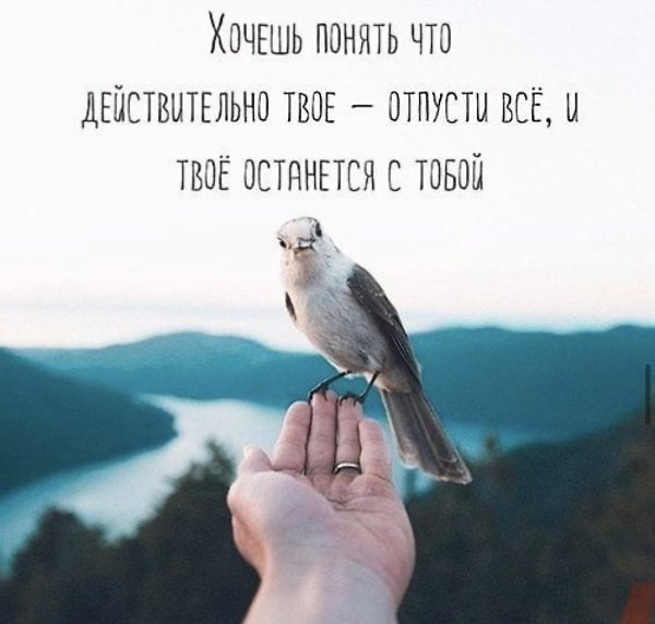 Люди расстаются из-за гордости. Сидят и не пишут друг другу, .несмотря на то, что оба ждyт ...