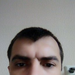 �������, �����-���������, 38 ���