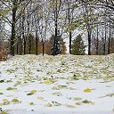  Klara,  -  14  2021