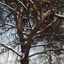 ���� �����, ��������, 50 ��� - ��������� 17 ������ 2021 � ������ ���� ����������