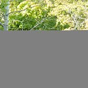 ���� @Skromnaychka@, ������ - ��������� 17 ������� 2020 � ������ ���� ����������