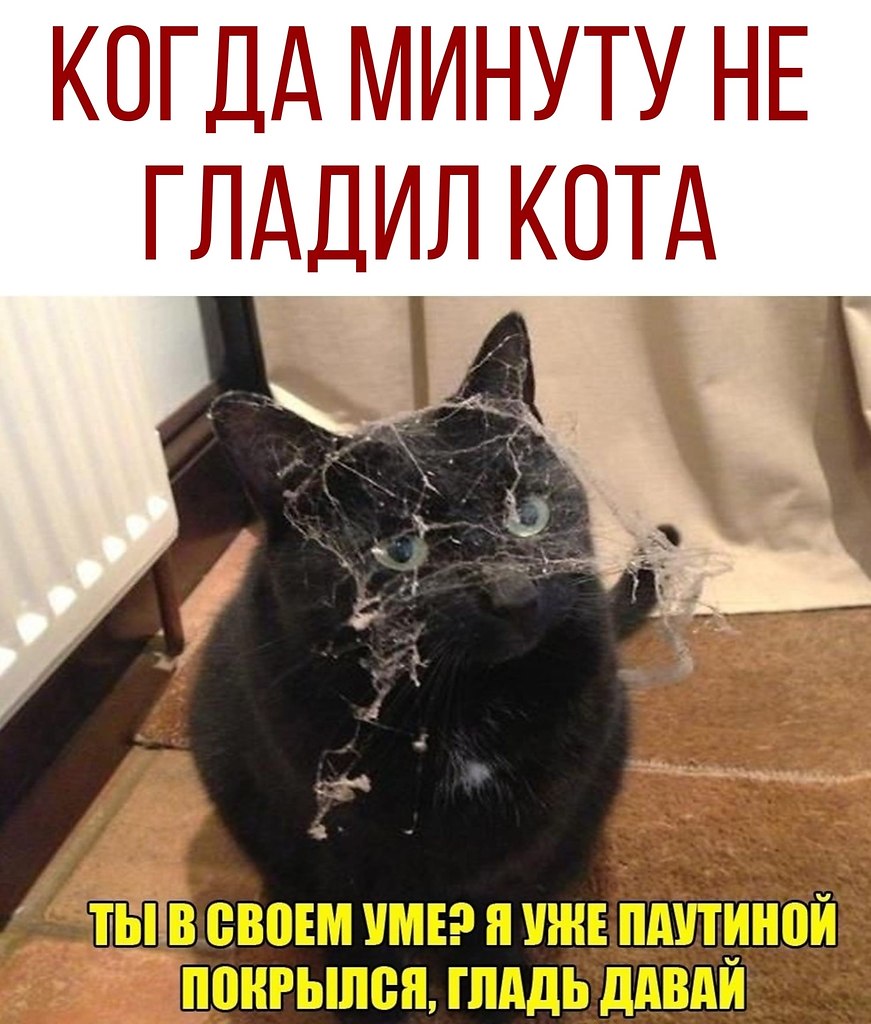 ������ - 28 �������� 2020 � 21:05