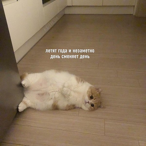 : - 2