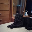 ���� ������, ��������, 53 ���� - ��������� 22 ������� 2021 � ������ ���� ����������