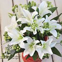 ���� ������, ����-�������, 56 ��� - ��������� 5 ������ 2020 � ������ ���� ����������