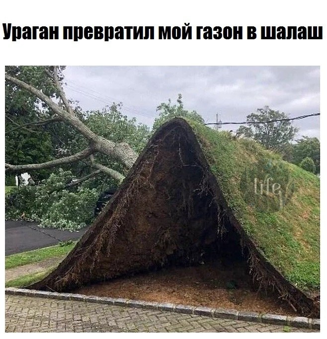 LIFE -  - 15  2021  21:21