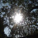 ,,,08.08.20.8.15.    2020