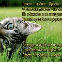 ���� �������, ����, 49 ��� - ��������� 21 ������� 2020 � ������ ������ ��������