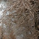 ���� ������, ����������, 57 ��� - ��������� 16 ������ 2021 � ������ ���� ����������