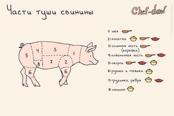10 шпаргалок, которые пригодятся на кухне - 5