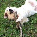 ���� �����, ������, 62 ���� - ��������� 25 ������ 2021 � ������ ���������� ������
