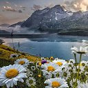 ���� �����, ������, 41 ��� - ��������� 5 ������� 2020 � ������ �������� ��������