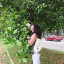 ���� �����, ������ �������� - ��������� 13 ������ 2020 � ������ ���� ����������