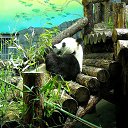 ���� �����, �����, 59 ��� - ��������� 9 ������� 2020 � ������ ���� ����������