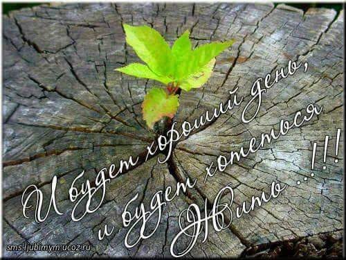 À ÇÀÂÒÐÀ ÁÛÒÜ ÒÎÌÓ,×ÒÎ ÁÓÄÅÒ. ÆÈÂß,ÓÌÅÉ ÂѨ ÏÅÐÅÆÈÒÜ: ÏÅ×ÀËÜ,È ÐÀÄÎÑÒÜ,È ÒÐÅÂÎÃÓ. ×ÅÃÎ ÆÅËÀÒÜ? Î ×¨Ì ...