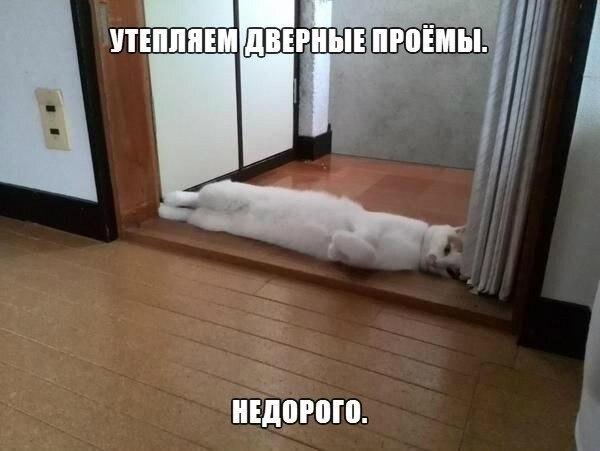    - 3  2021  21:55